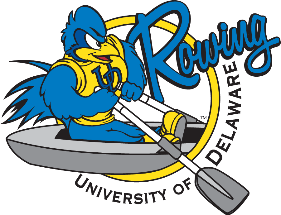 Delaware Blue Hens 1999-2009 Mascot Logo v4 iron on transfers for clothing